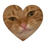 (Category: ) located in . Submitted by butterbuuuu (Listing ID 1441362739, Image 1). Description: .