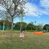 （分類：）位於 。 由 sunnysunny1207 提交（商品編號 1385868945，圖片 1）。簡介： 。