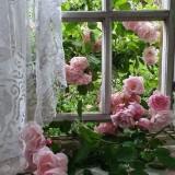(Category: ) located in . Submitted by cozycottagechic (Listing ID 1376424637, Image 1). Description: .