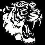 （分類：）位於 。 由 tigertwin 提交（商品編號 1376481536，圖片 1）。簡介： 。
