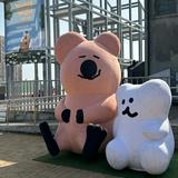由 imiris620 (刊登 ID 1381618030，圖片 1) 提交，位於 的 (類別：)，說明：。