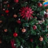(Category: ) located in . Submitted by jesswongmathieson (Listing ID 1315762099, Image 1). Description: .
