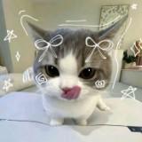 (Category: ) located in . Submitted by niveashine (Listing ID 1439931240, Image 1). Description: .