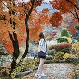 （分類：）位於 。 由 peggybblammeii 提交（商品編號 1377153159，圖片 1）。簡介： 。