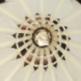 (Category: ) located in . Submitted by rx39835 (Listing ID 1360972994, Image 1). Description: .