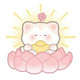 （分類：）位於 。 由 zyik.luv 提交（商品編號 1382057714，圖片 1）。簡介： 。