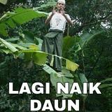 (Kategori: ) berada di . Dikirim oleh dp-preloved (ID iklan 1346921949, Gambar 1). Deskripsi: .