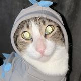 (Category: ) located in . Submitted by icheeellee (Listing ID 1345557313, Image 1). Description: .