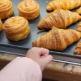 (Category: ) located in . Submitted by munchcroissants (Listing ID 1368502586, Image 1). Description: .