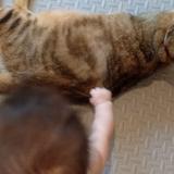 (Category: ) located in . Submitted by hellogoodbyex (Listing ID 1383084164, Image 1). Description: .