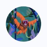 (Category: ) located in . Submitted by theorangutan (Listing ID 1378470065, Image 1). Description: .