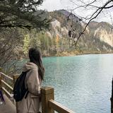 (Category: ) located in . Submitted by at012345 (Listing ID 1336843607, Image 1). Description: .