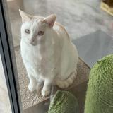 由 aurora052774506 (刊登 ID 1340582297，圖片 1) 提交，位於 的 (類別：)，說明：。