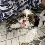 (Category: ) located in . Submitted by _cdn27 (Listing ID 1334227189, Image 1). Description: .