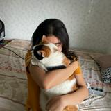 (Kategori: ) berada di . Dikirim oleh catrigged (ID iklan 1343585732, Gambar 1). Deskripsi: .
