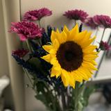 (Category: ) located in . Submitted by gingeroger (Listing ID 1337334188, Image 1). Description: .