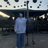 由 min___min___ (刊登 ID 1386565137，圖片 1) 提交，位於 的 (類別：)，說明：。
