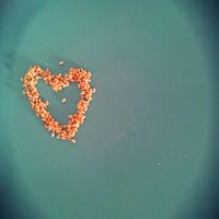 (Category: ) located in . Submitted by wxq0000 (Listing ID 1357289991, Image 1). Description: .