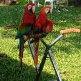 (Category: ) located in . Submitted by zerohero84 (Listing ID 1440441394, Image 1). Description: .