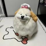 頭像