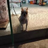 （分類：）位於 。 由 25053 提交（商品編號 1337554313，圖片 1）。簡介： 。