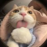 (Category: ) located in . Submitted by clareclareclare__ (Listing ID 1376864840, Image 1). Description: .