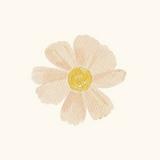 (Kategori: ) berada di . Dikirim oleh primrose.ic (ID iklan 1358647068, Gambar 1). Deskripsi: .