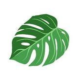 (Category: ) located in . Submitted by edusprouts (Listing ID 1338318900, Image 1). Description: .