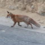 （分類：）位於 。 由 wholegrainhk 提交（商品編號 1301022438，圖片 1）。簡介： 。