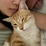 (Category: ) located in . Submitted by hannahc5 (Listing ID 1378814323, Image 1). Description: .