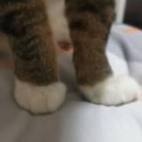 (Category: ) located in . Submitted by jisney0726 (Listing ID 1375565359, Image 1). Description: .