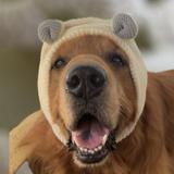 (Category: ) located in . Submitted by benthegolden (Listing ID 1307158571, Image 1). Description: .