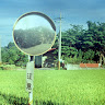 頭像