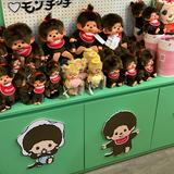 由 Hippo._. (刊登 ID 1386316209，圖片 1) 提交，位於 的 (類別：)，說明：。