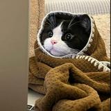 (Category: ) located in . Submitted by cozycat11 (Listing ID 1380407031, Image 1). Description: .