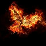 (Kategori: ) berada di . Dikirim oleh mockingjayyyy (ID iklan 1382904420, Gambar 1). Deskripsi: .