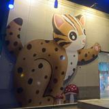 由 leopard_catt (刊登 ID 1385712793，圖片 1) 提交，位於 的 (類別：)，說明：。