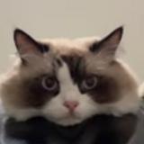 (Category: ) located in . Submitted by masterposts (Listing ID 1384811436, Image 1). Description: .