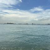 (Category: ) located in . Submitted by studysmarttt (Listing ID 1378686485, Image 1). Description: .