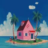 （分類：）位於 。 由 kamehouse 提交（商品編號 1375020863，圖片 1）。簡介： 。