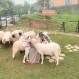 (Kategori: ) berada di . Dikirim oleh vivi.nfzh (ID iklan 1278942765, Gambar 1). Deskripsi: .