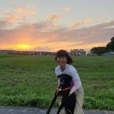 由 tsengchiuh04260 (刊登 ID 1347636938，圖片 1) 提交，位於 的 (類別：)，說明：。