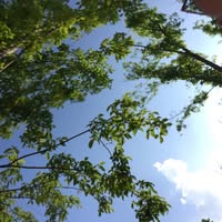 （分類：）位於 。 由 wh813 提交（商品編號 1384330196，圖片 1）。簡介： 。