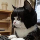 (Kategori: ) berada di . Dikirim oleh zz.cutiepie (ID iklan 1362691149, Gambar 1). Deskripsi: .