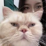 由 chrissy_liao (刊登 ID 1337206302，圖片 1) 提交，位於 的 (類別：)，說明：。