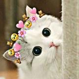 (Category: ) located in . Submitted by thefluffyunicorn (Listing ID 1334773068, Image 1). Description: .