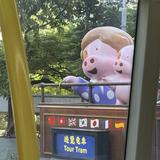 （分類：）位於 。 由 irisilok 提交（商品編號 1366259151，圖片 1）。簡介： 。
