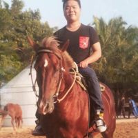（分類：）位於 。 由 ma253300164 提交（商品編號 1345108345，圖片 1）。簡介： 。