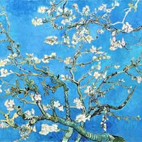 （分類：）位於 。 由 puikaren14576 提交（商品編號 1372103278，圖片 1）。簡介： 。