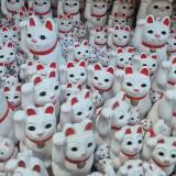 (Category: ) located in . Submitted by sooowowthings (Listing ID 1382333998, Image 1). Description: .